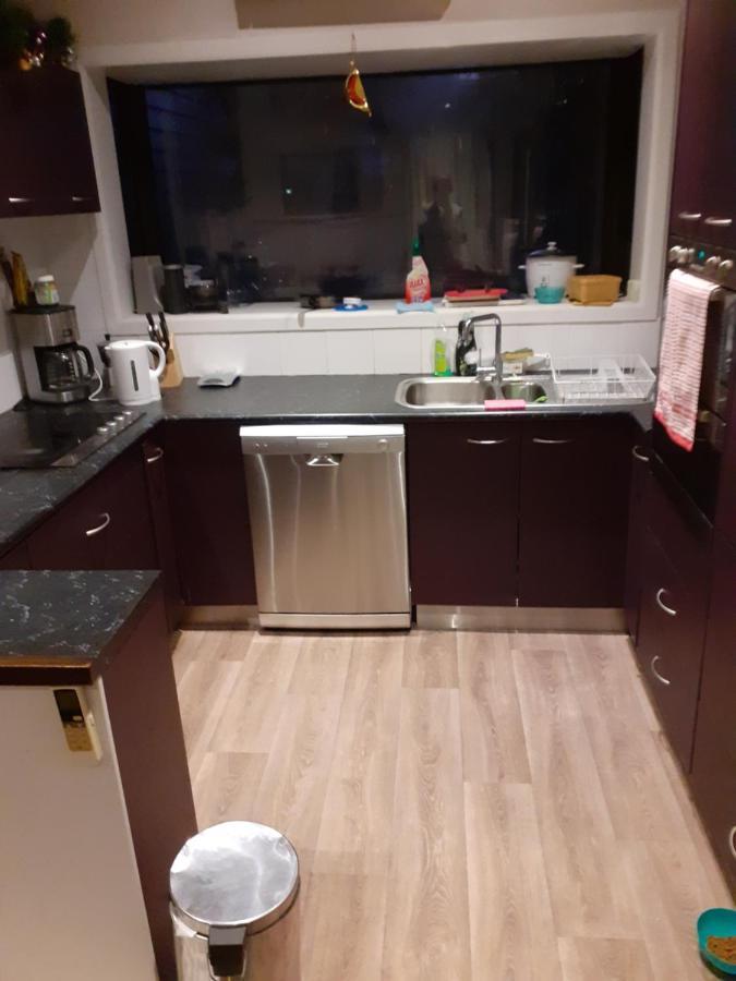 Intrepid Bed & Breakfast Крайстчърч Екстериор снимка